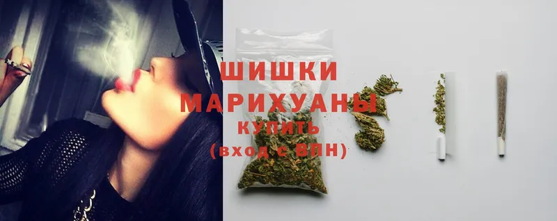 Конопля White Widow  mega   shop Telegram  продажа наркотиков  Ставрополь 